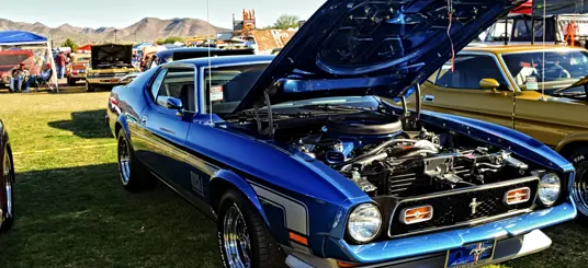 De marter onder de motorkap